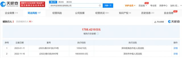 国产99久久久精品视频